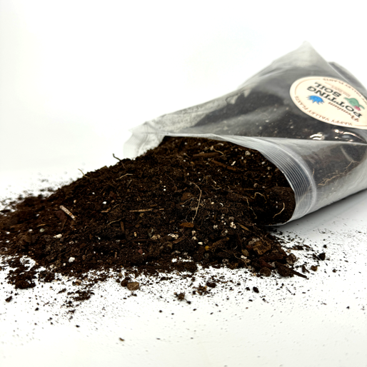 best potting mix for agave Premium Agave & Cacti Mix