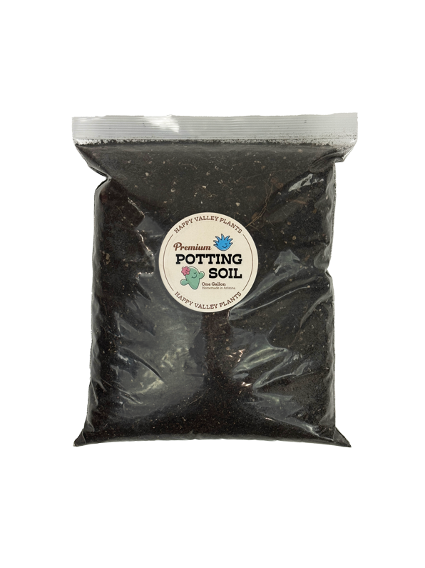 Premium Agave & Cacti Mix