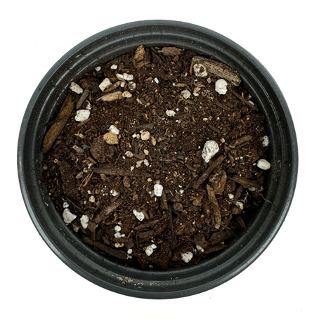 agave potting soil mix Premium Agave & Cacti Mix